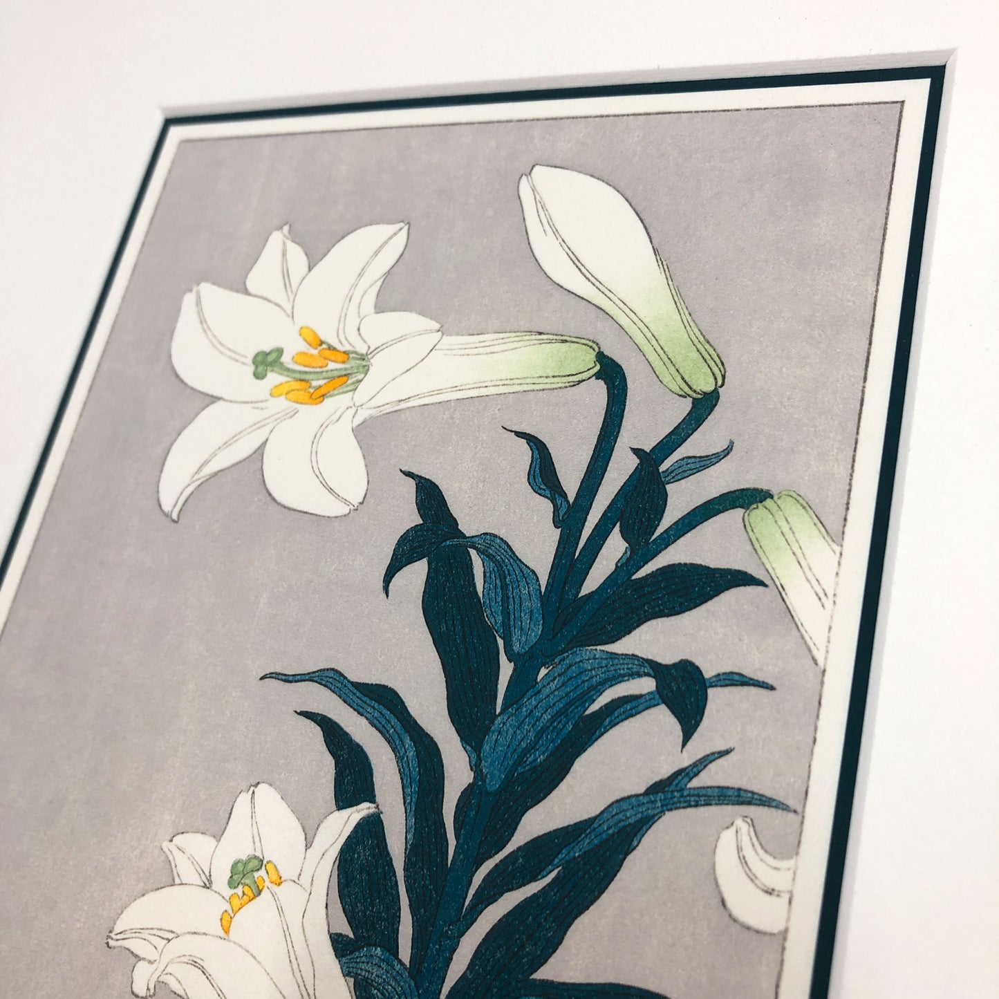 Easter Lily Elegance – "White Lily, after Koson" Fine Art Mounted Print