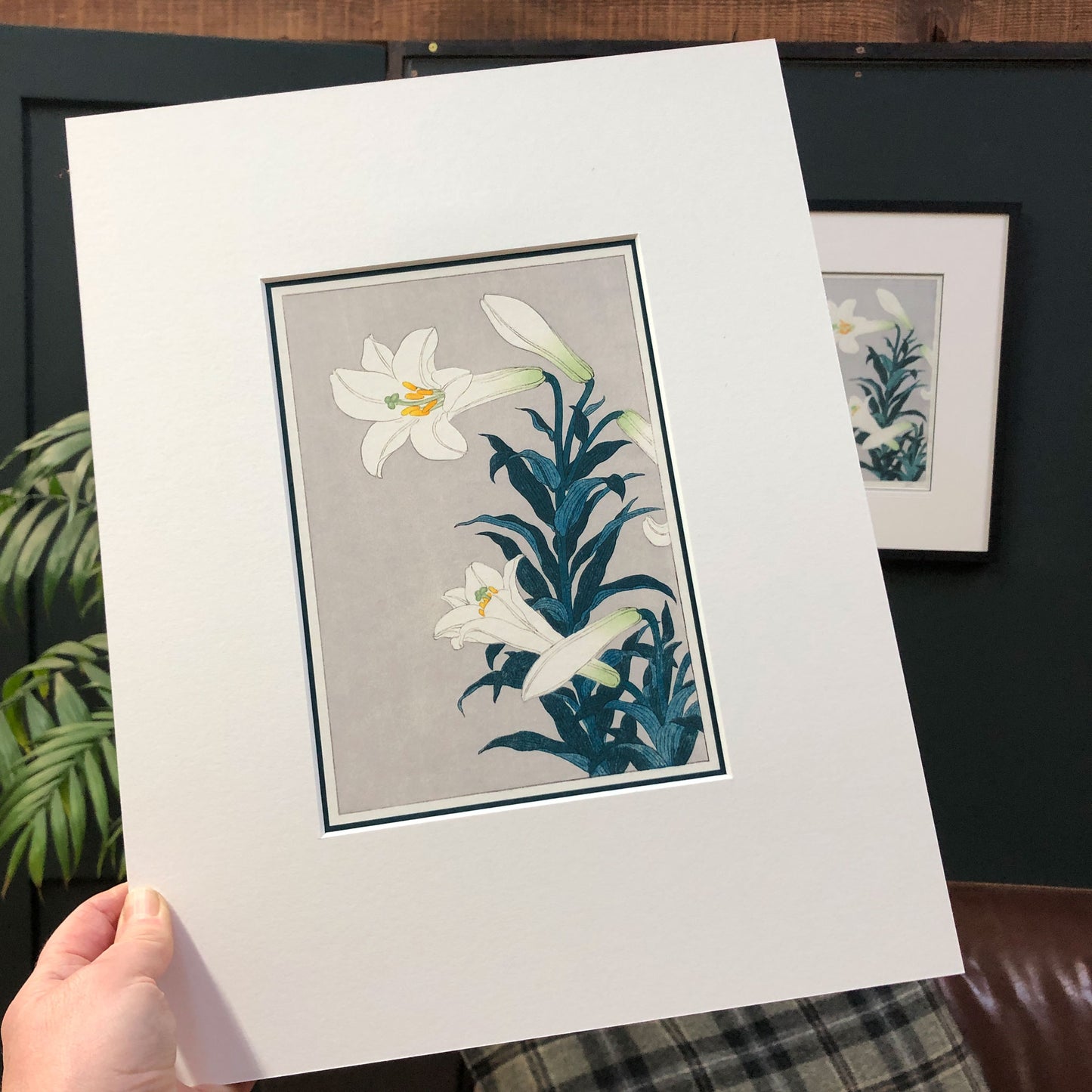 Easter Lily Elegance – "White Lily, after Koson" Fine Art Mounted Print