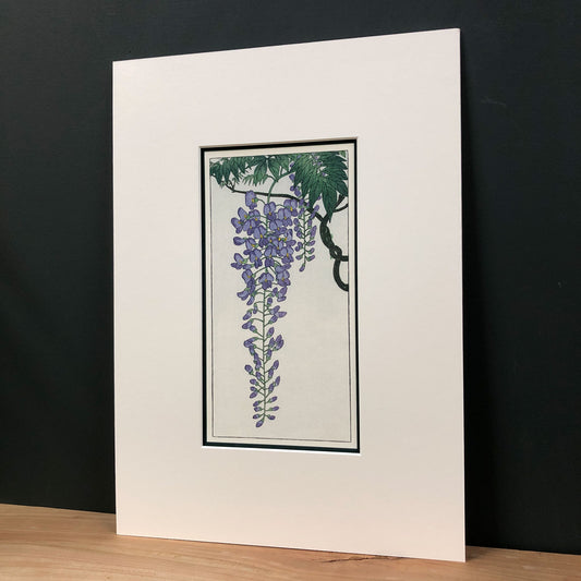The Wonder of Wisteria – "Flowering Wisteria, after Koson" Fine Art Mounted Print