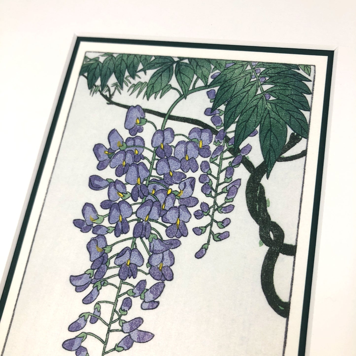 The Wonder of Wisteria – "Flowering Wisteria, after Koson" Fine Art Mounted Print