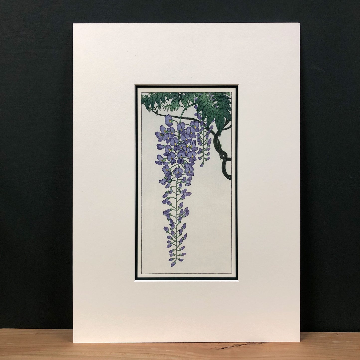 The Wonder of Wisteria – "Flowering Wisteria, after Koson" Fine Art Mounted Print