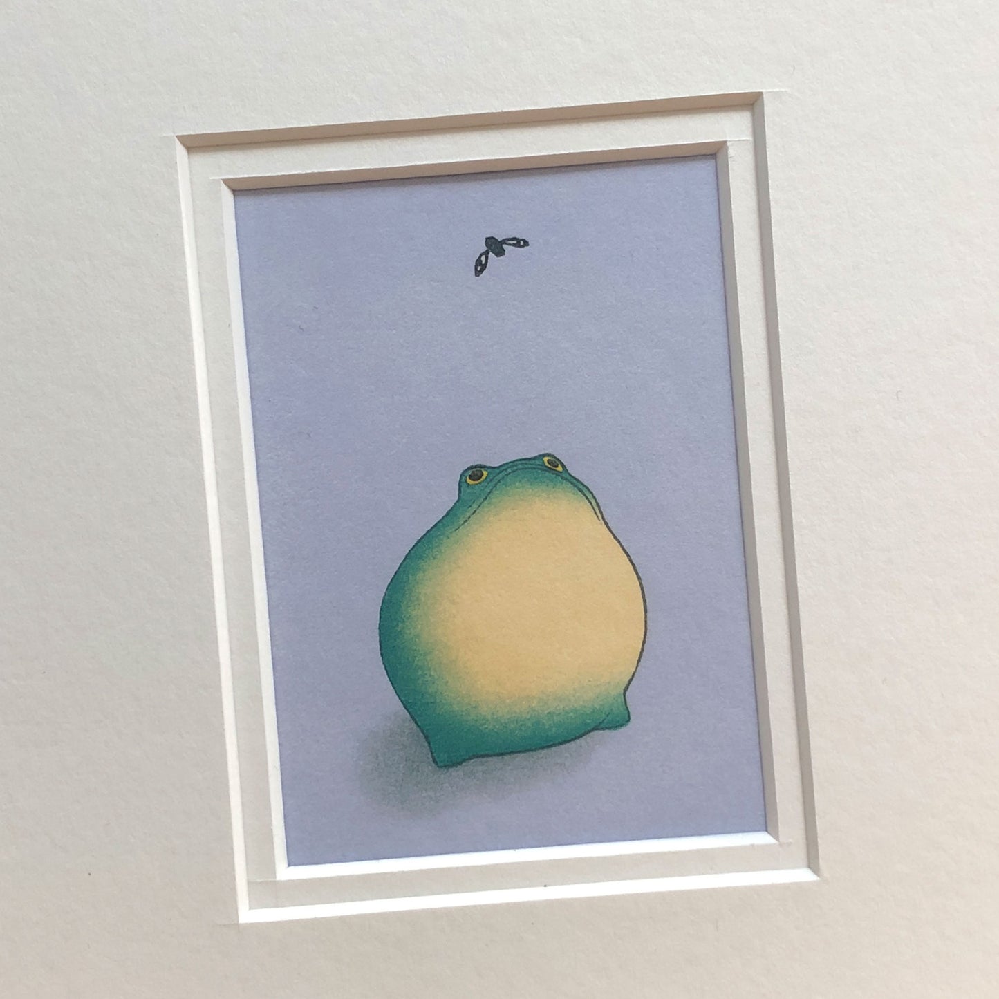 Frog Mounted Fine Art Mini Print