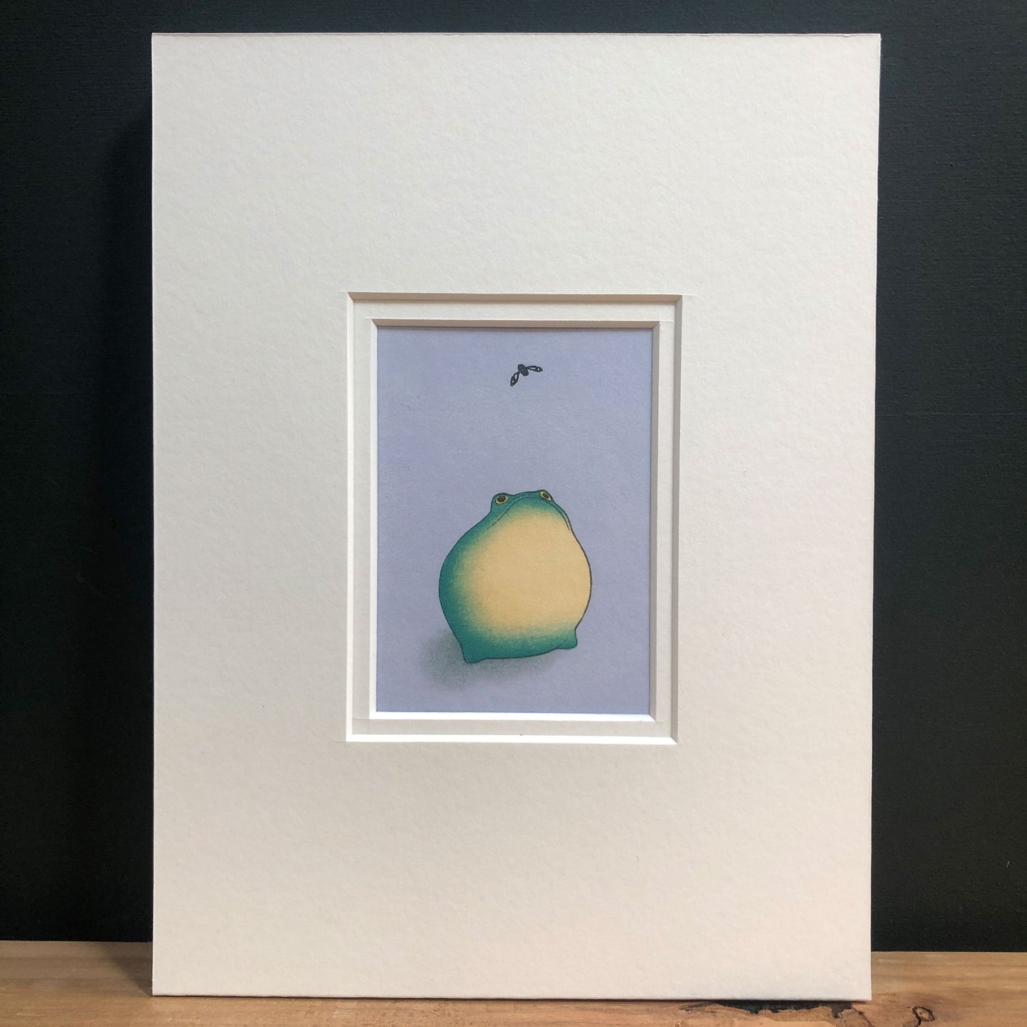 Frog Mounted Fine Art Mini Print