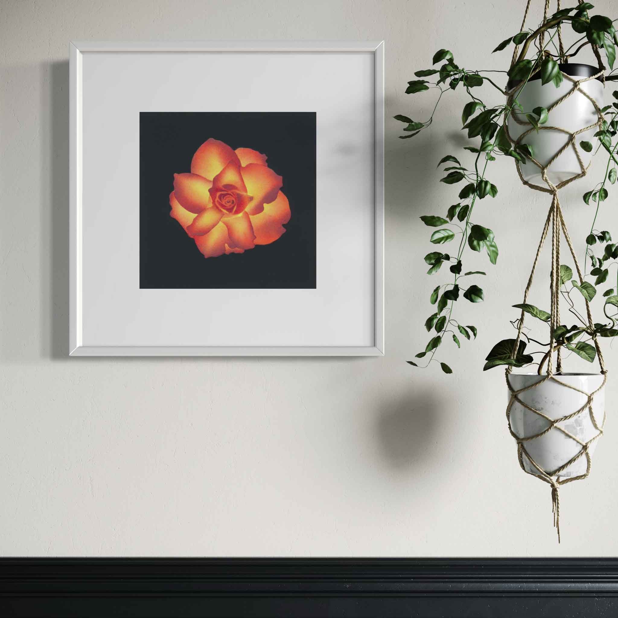 High and Magic Rose | Vibrant Floral Fine Art Print – Claire Cameron ...