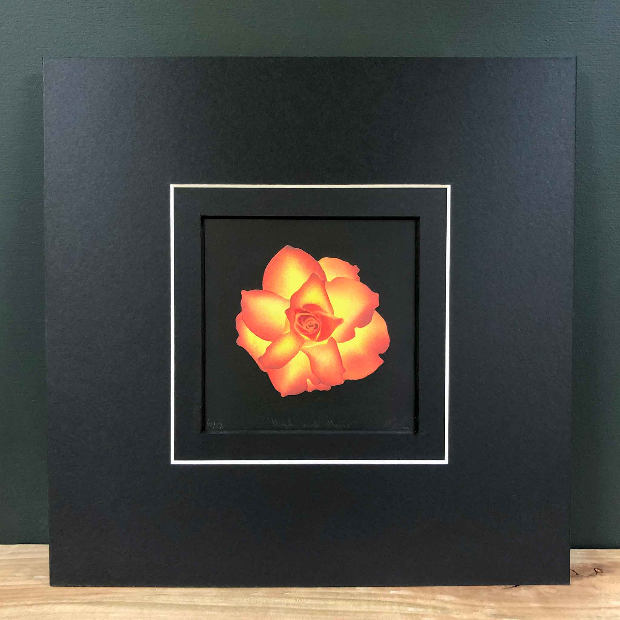 High and Magic - limited edition rose pochoir (stencilled) original ha ...