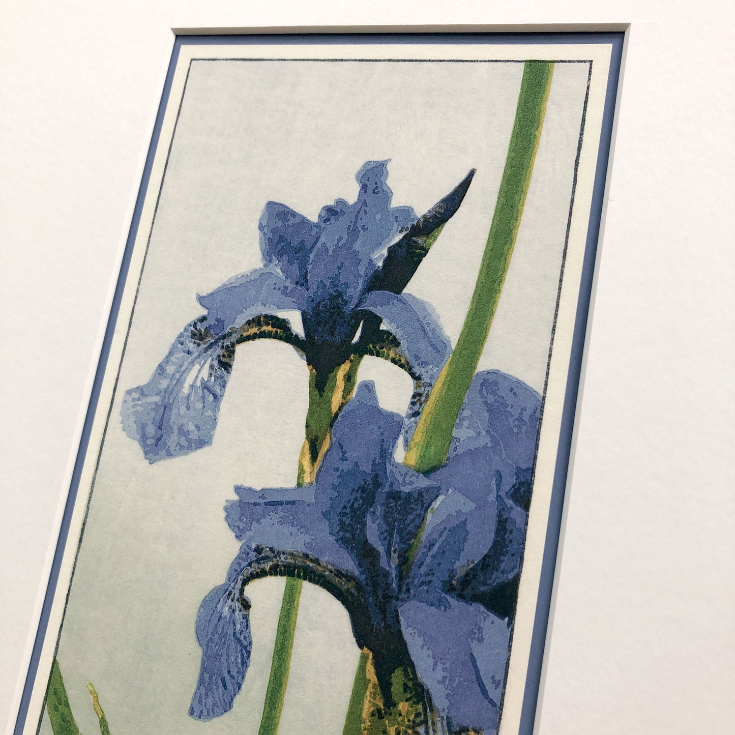 Blue Beauty – "Irises" Fine Art Mounted Print