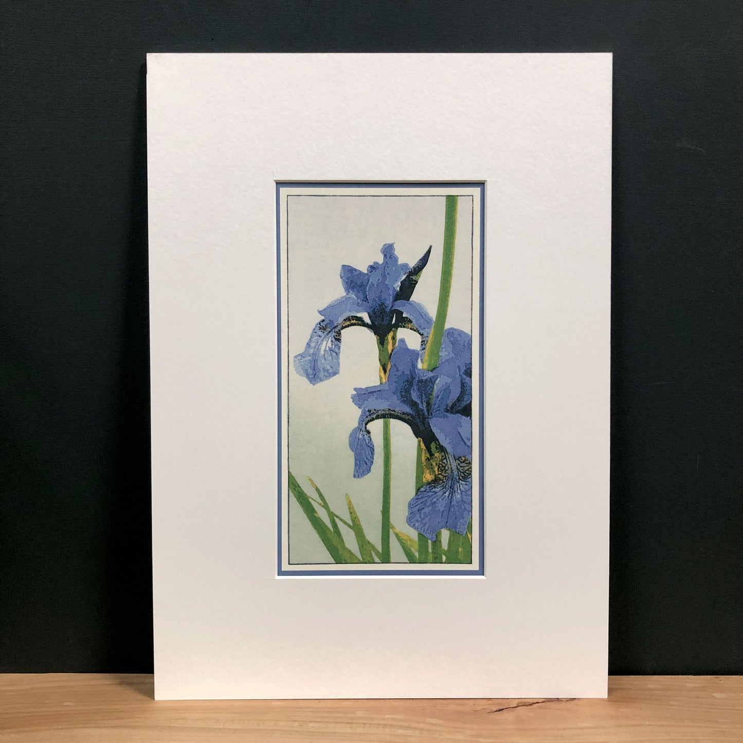Blue Beauty – "Irises" Fine Art Mounted Print