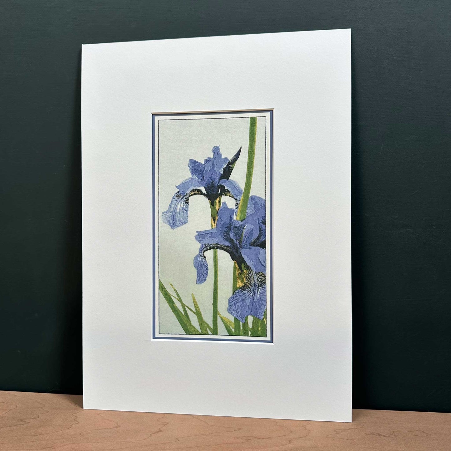 Irises fine art reproduction print in 10" x 14" mount, angled view