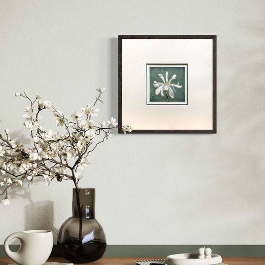 Magnolia Stellata botanical study woodblock print framed on pale green wall.