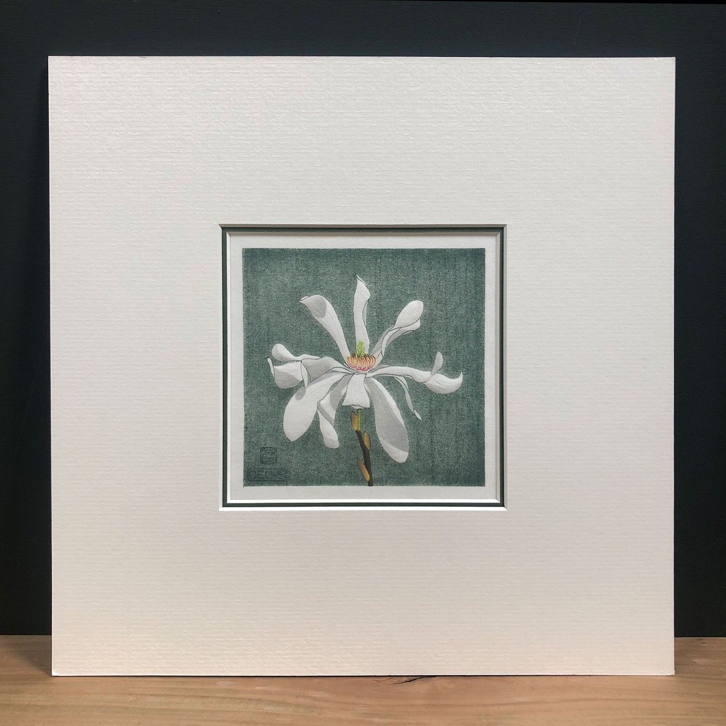 Magnolia Stellata botanical woodblock print in double mount.