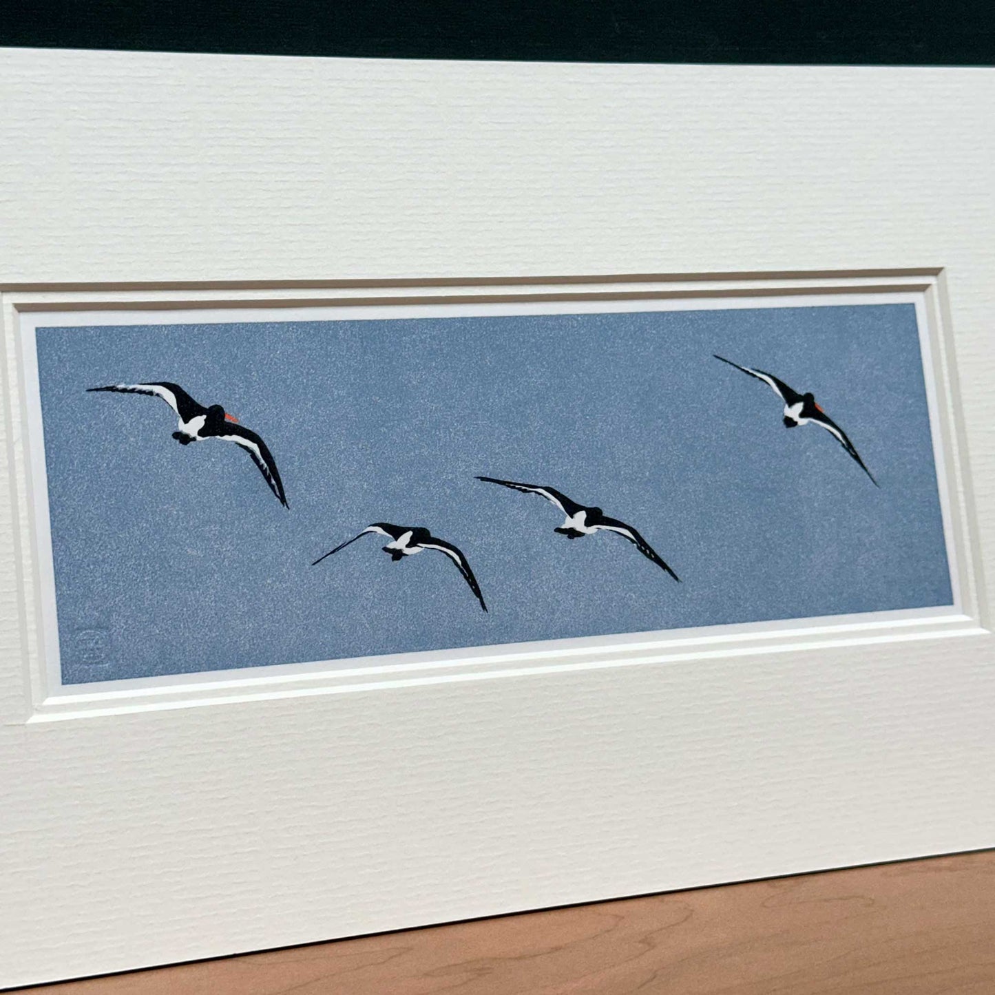 Handmade print of Oyster Catchers in Flight against blue background - angled close up view