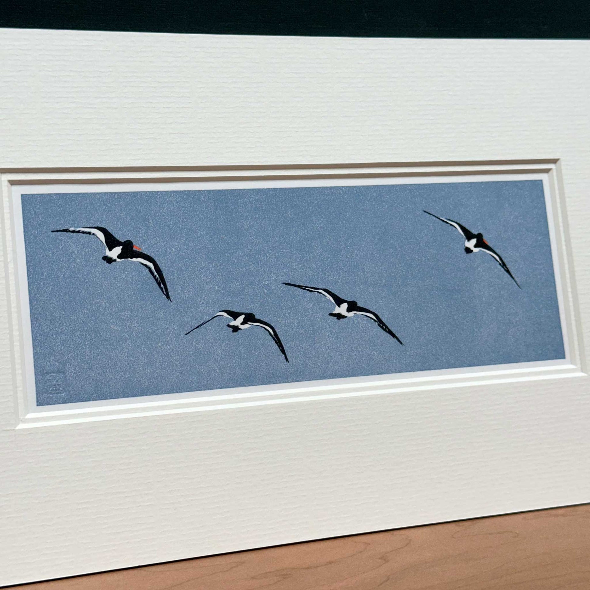 Handmade print of Oyster Catchers in Flight against blue background - angled close up view