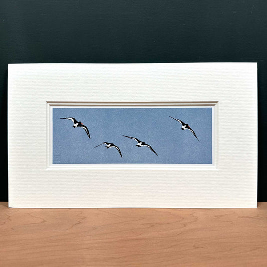 Handmade print of oyster catchers in flight against a dark blue background. In  double off-white mount.