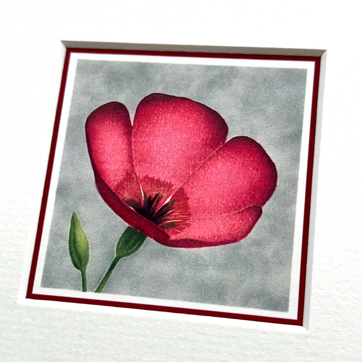 Scarlet Flax Mounted Fine Art Mini Print detail