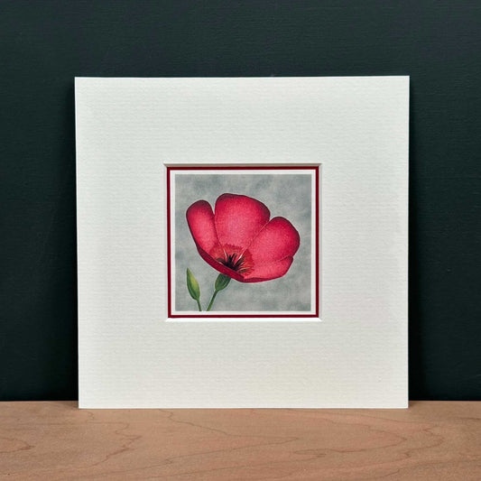 Scarlet Flax Mounted Fine Art Mini Print