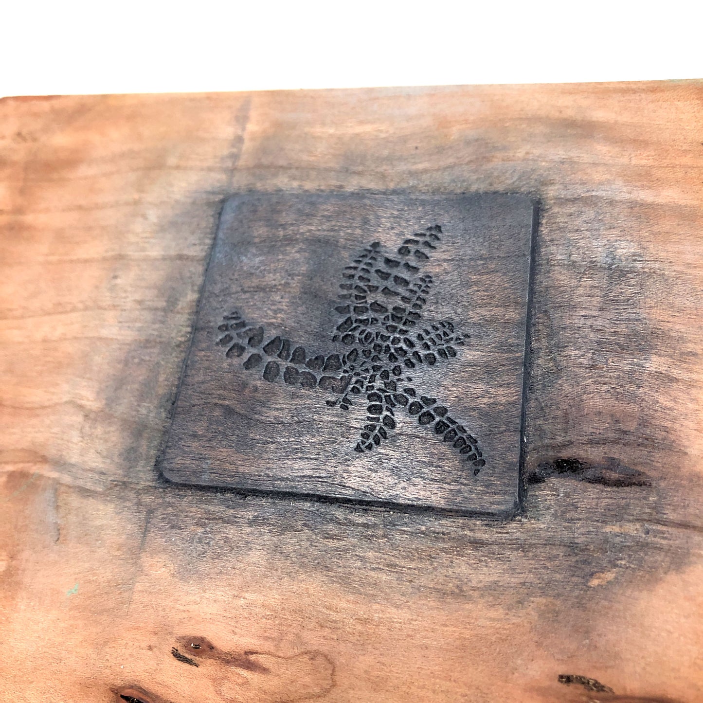 Wall Fern - original handmade woodblock print