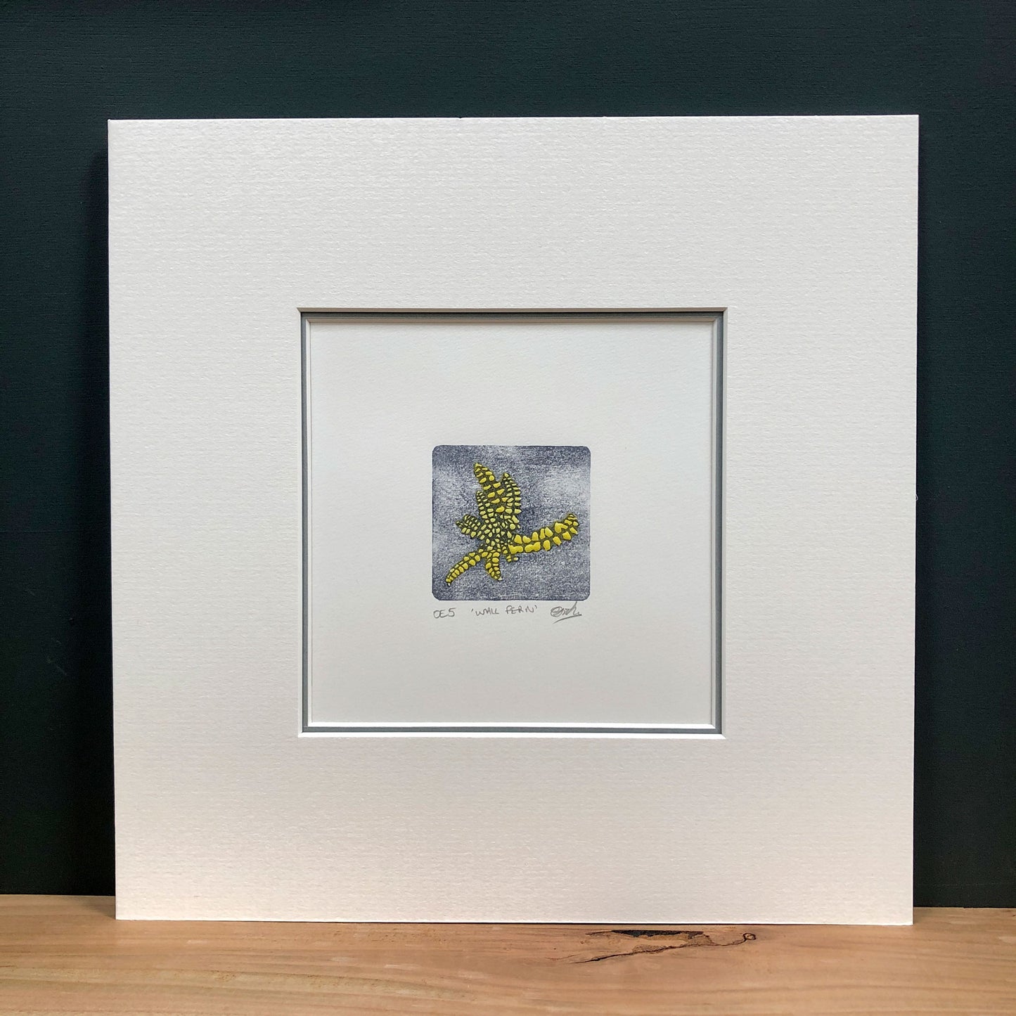 Wall Fern - original handmade woodblock print
