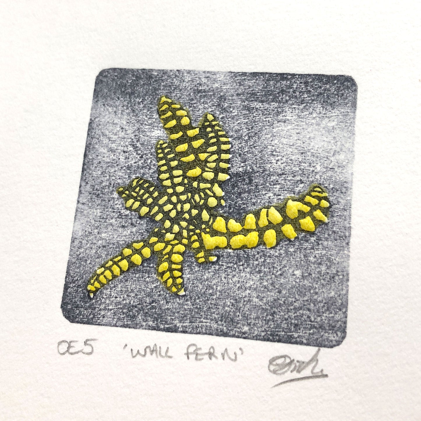 Wall Fern - original handmade woodblock print