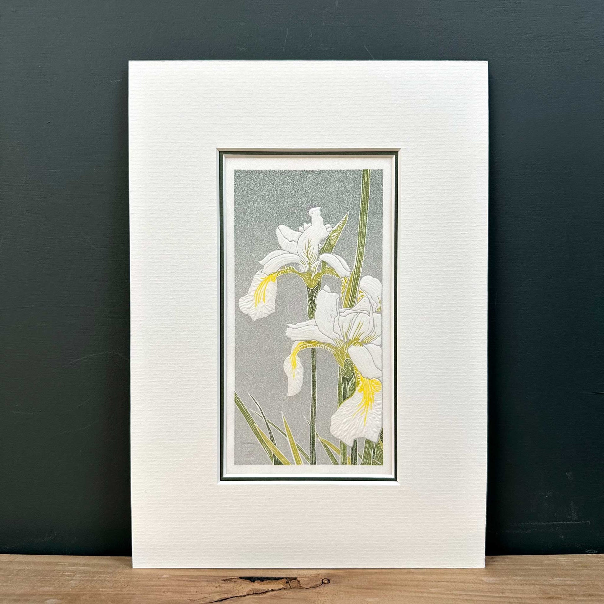 White Irises floral print original handmade print by Claire Cameron-Smith in double mount on shelf