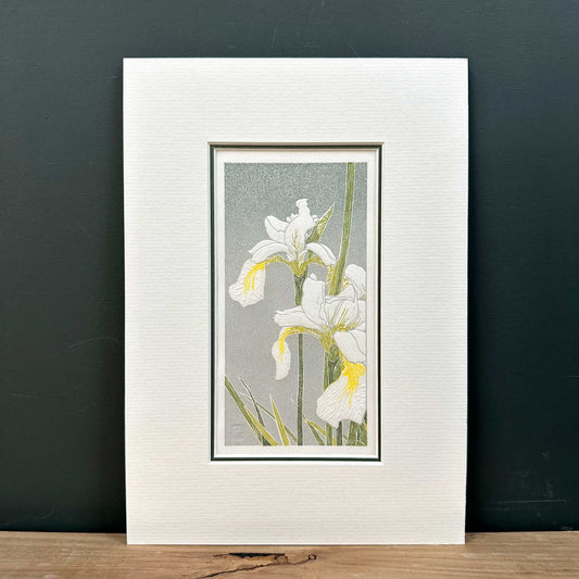 White Irises floral print original handmade print by Claire Cameron-Smith in double mount on shelf