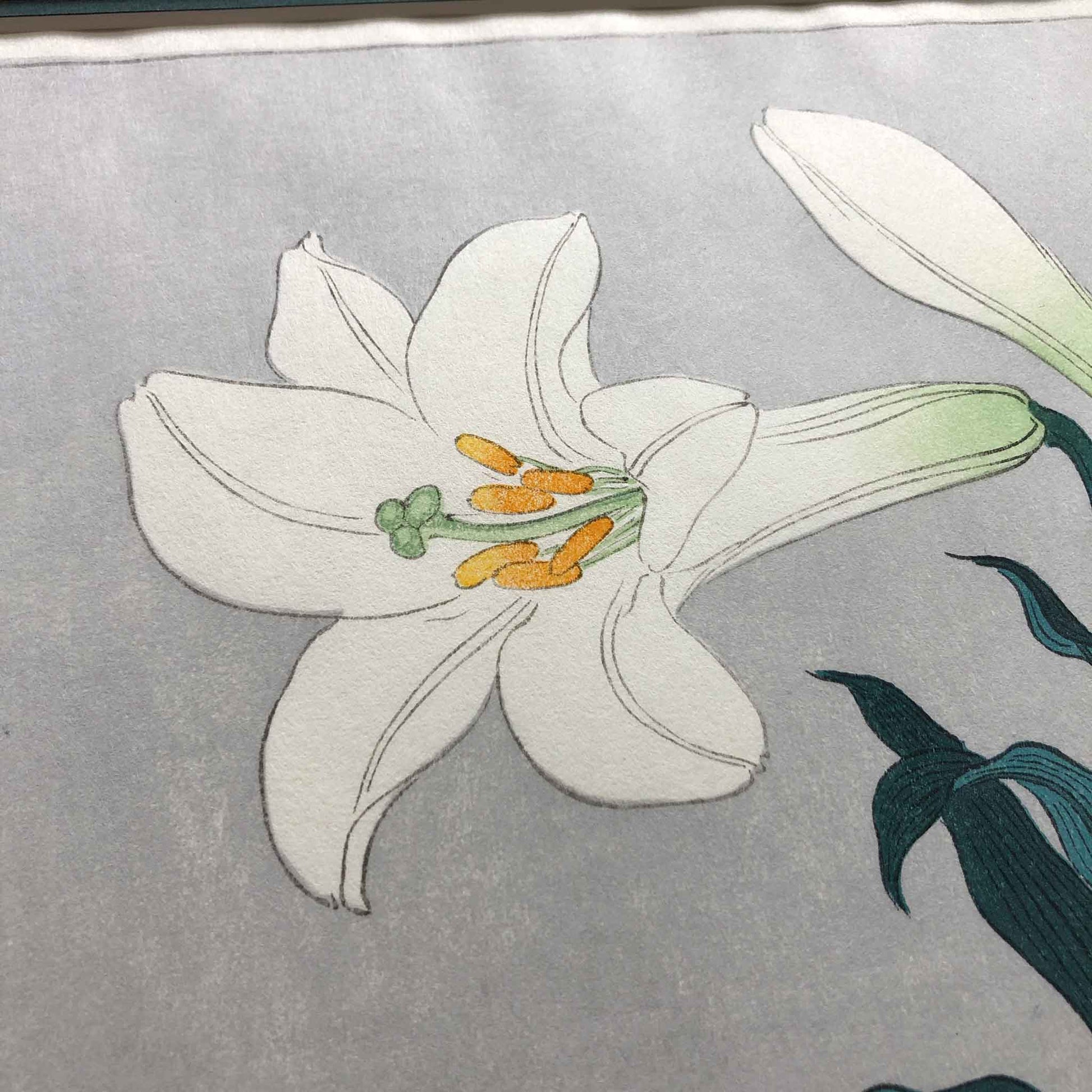 white lily in japanese White Lily, after Koson, Japanese woodblock