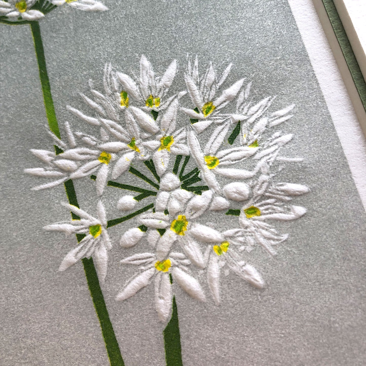 Wild Garlic botanical woodblock - original handmade print