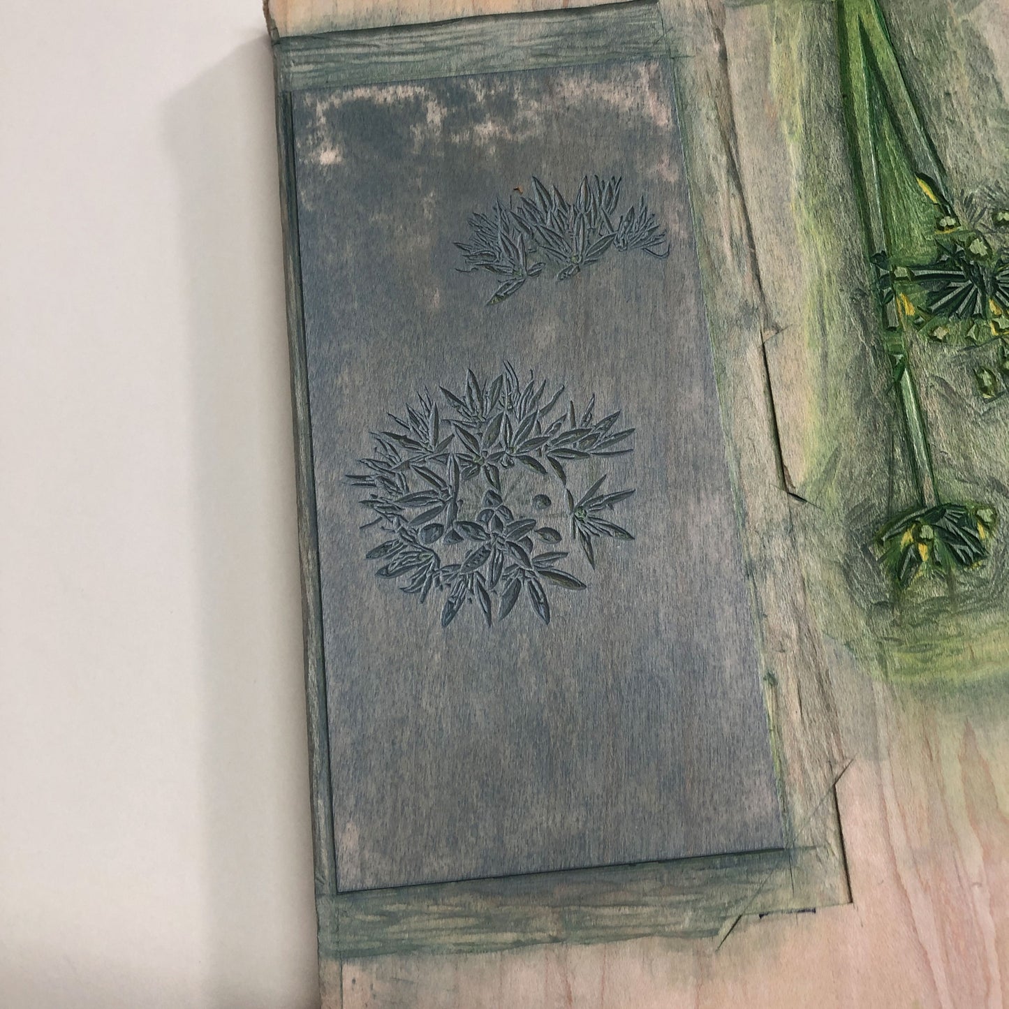 Wild Garlic botanical woodblock - original handmade print