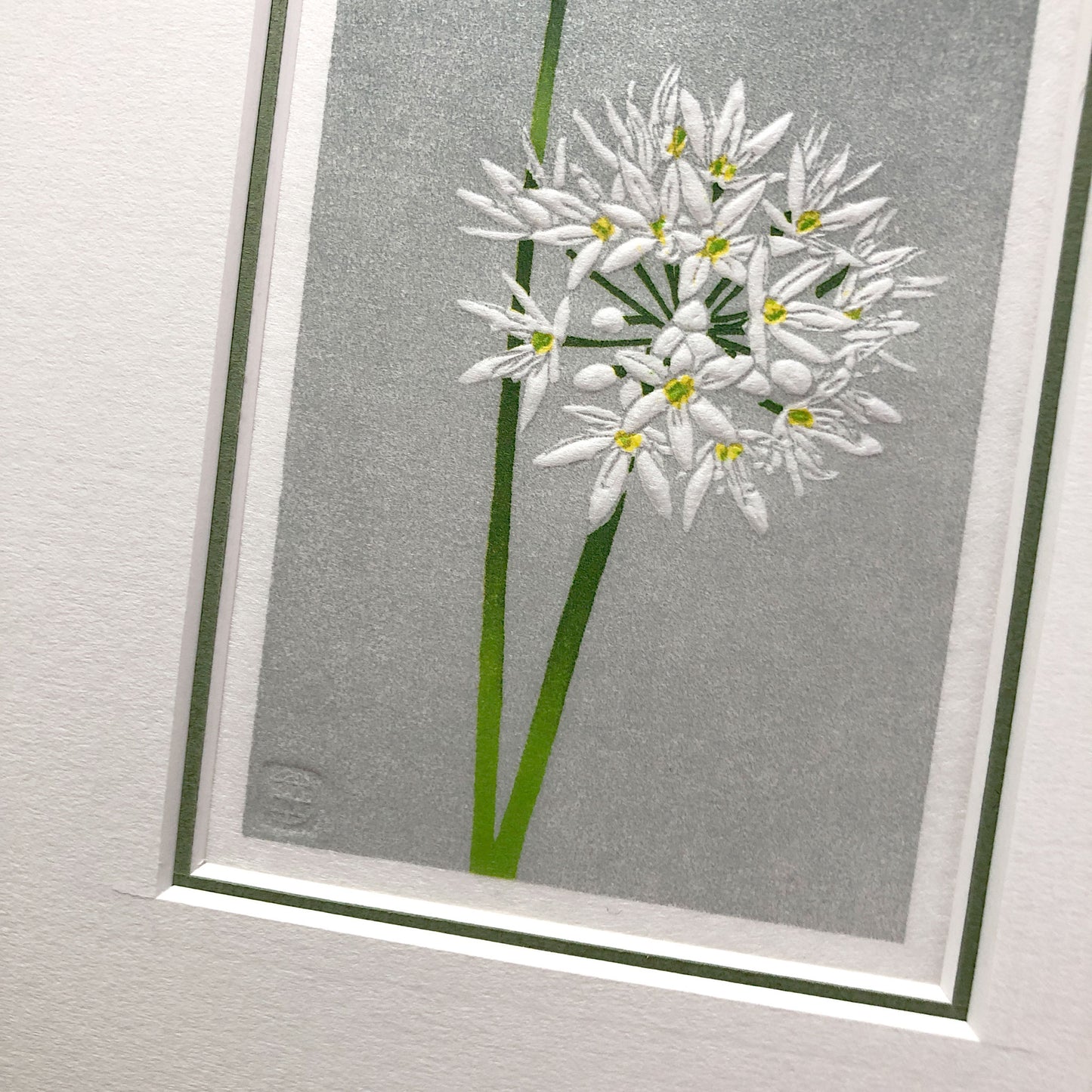 Wild Garlic botanical woodblock - original handmade print
