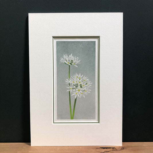 Wild Garlic botanical woodblock - original handmade print