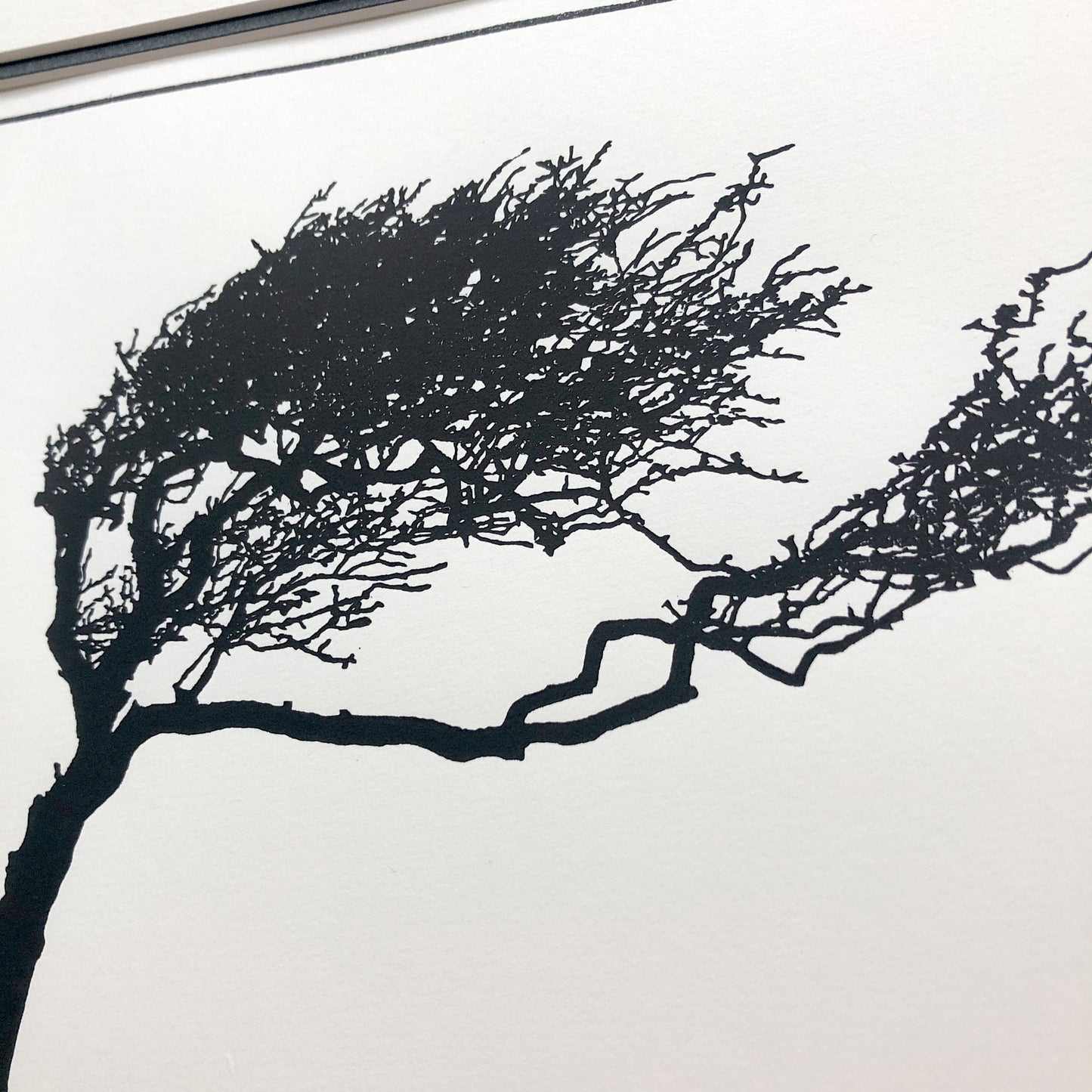 Close-up detail of hand-printed hawthorn tree showing delicate branch structure and subtle ink variation on cream paper.