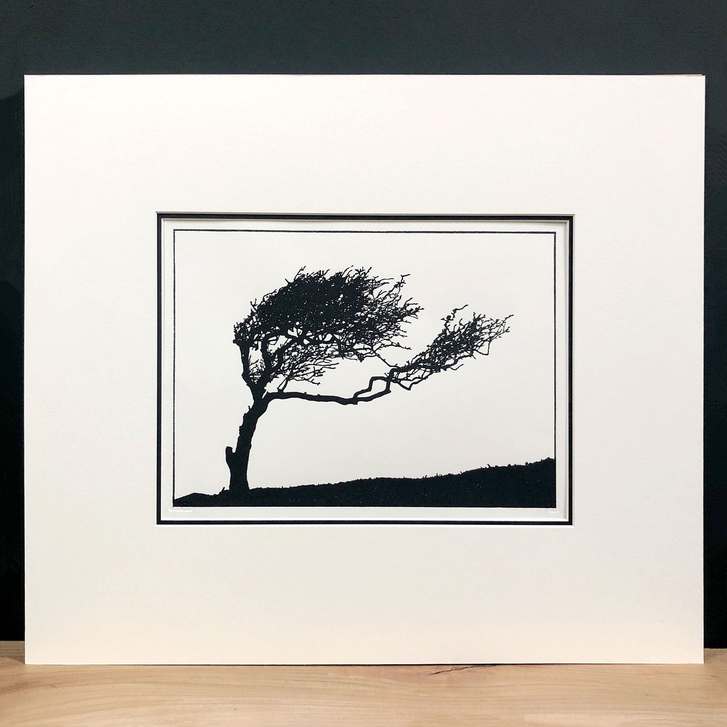 Original handmade woodblock tree print of a windswept hawthorn in black ink on cream paper, first print in a series of four, mounted with wide cream mount and black inner mount.
