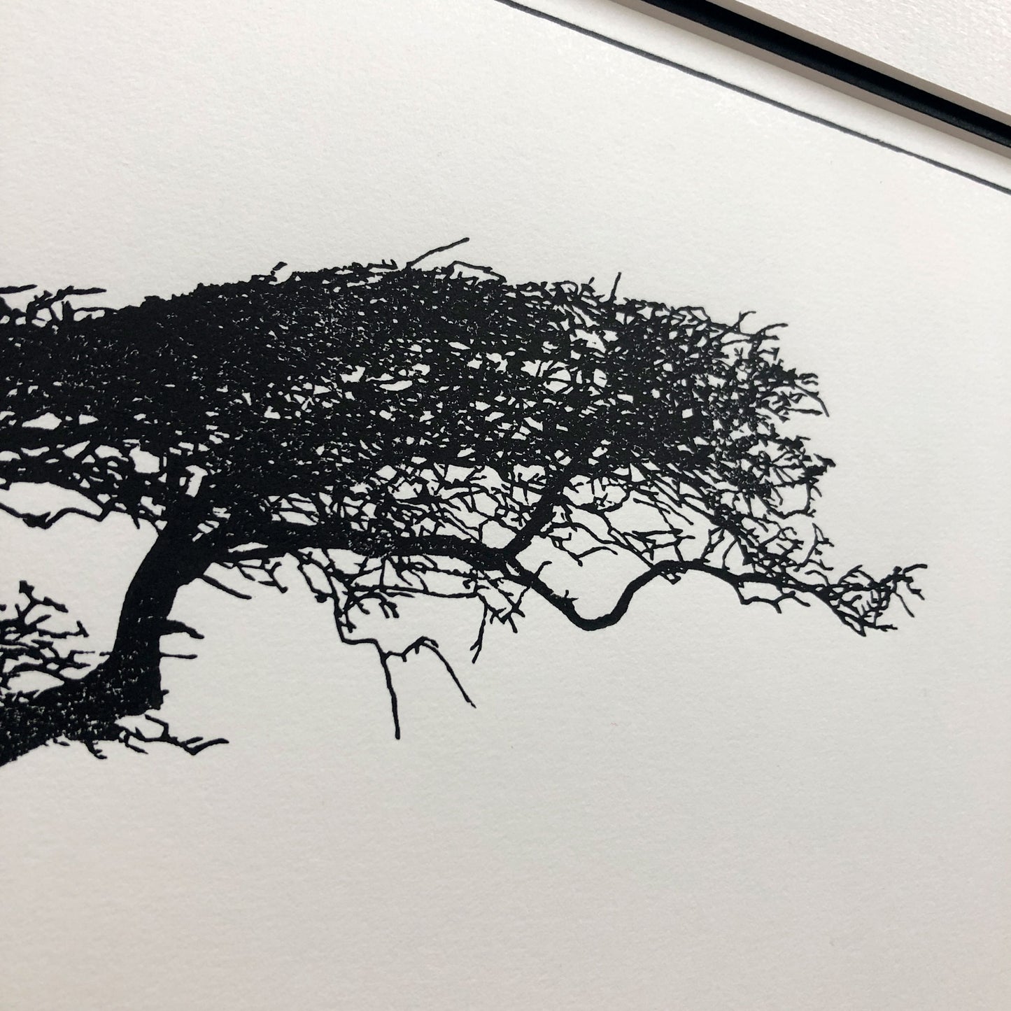 Close-up detail of hand-printed hawthorn tree showing delicate branch structure and subtle ink variation on cream paper.