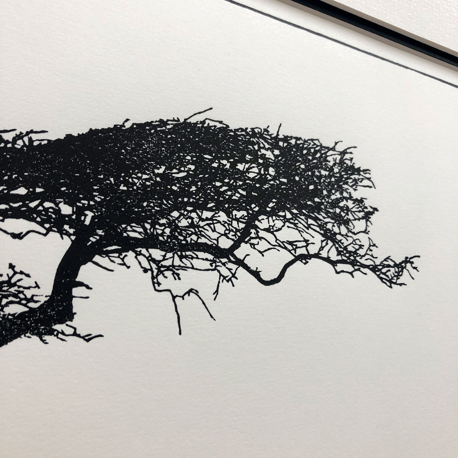 Close-up detail of hand-printed hawthorn tree showing delicate branch structure and subtle ink variation on cream paper.