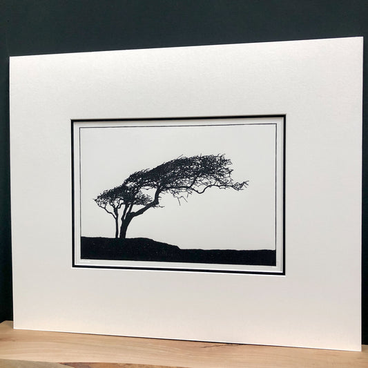 Angled view of mounted windswept hawthorn tree woodblock print showing depth of mount and minimalist black silhouette landscape.