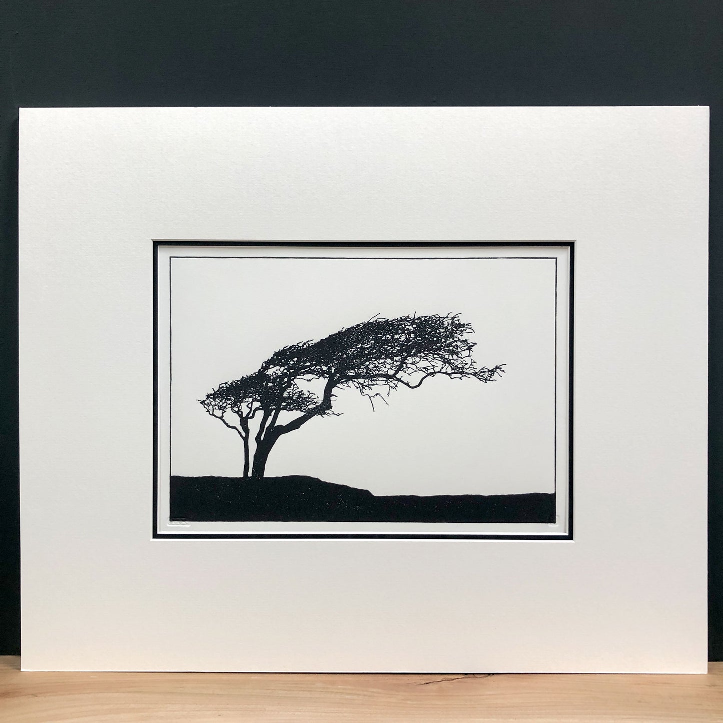 Original handmade woodblock tree print of a windswept hawthorn in black ink on cream paper, second print in a series of four, mounted with wide cream mount and black inner mount.