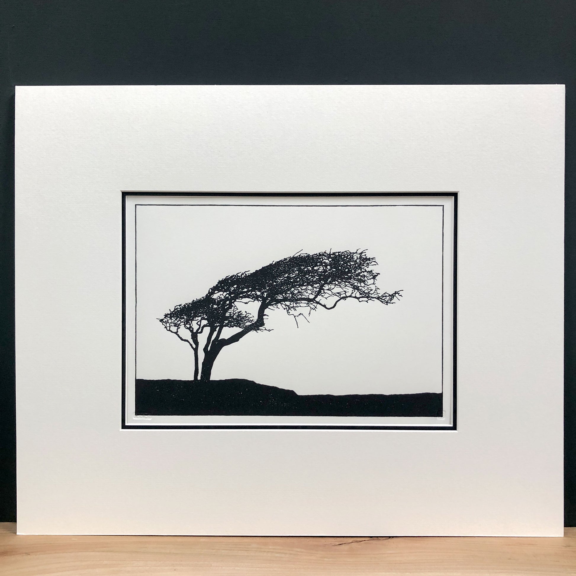 Original handmade woodblock tree print of a windswept hawthorn in black ink on cream paper, second print in a series of four, mounted with wide cream mount and black inner mount.