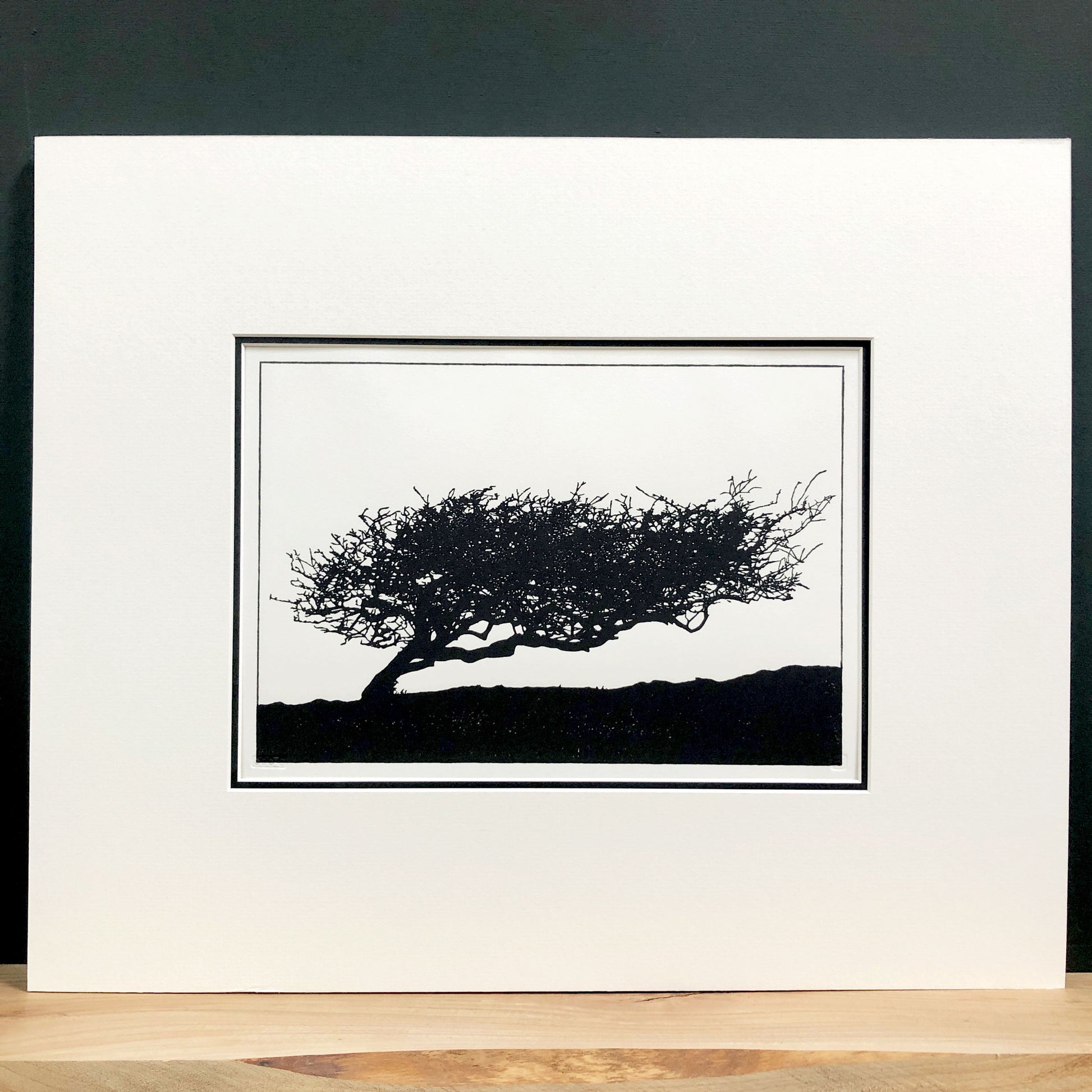 Original handmade woodblock tree print of a windswept hawthorn in black ink on cream paper, third print in a series of four, mounted with wide cream mount and black inner mount.